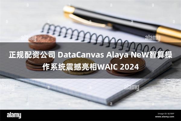 正规配资公司 DataCanvas Alaya NeW智算操作系统震撼亮相WAIC 2024