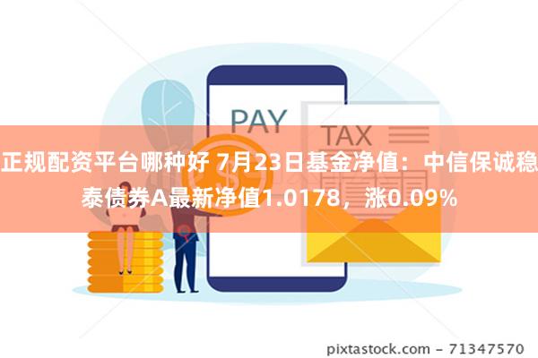 正规配资平台哪种好 7月23日基金净值：中信保诚稳泰债券A最新净值1.0178，涨0.09%