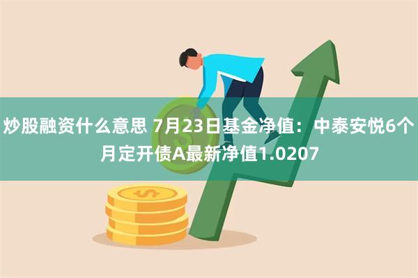 炒股融资什么意思 7月23日基金净值：中泰安悦6个月定开债A最新净值1.0207