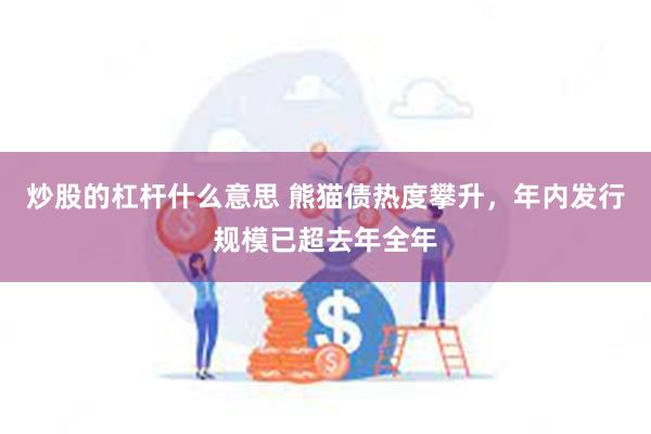 炒股的杠杆什么意思 熊猫债热度攀升，年内发行规模已超去年全年