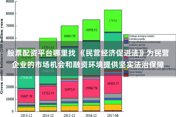 股票配资平台哪里找 《民营经济促进法》为民营企业的市场机会和融资环境提供坚实法治保障