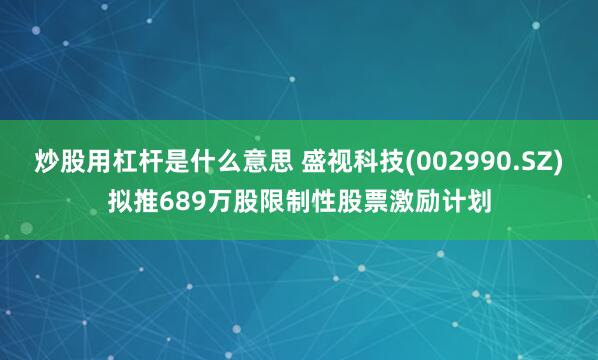 炒股用杠杆是什么意思 盛视科技(002990.SZ)拟推689万股限制性股票激励计划