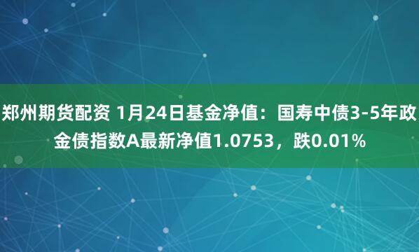 郑州期货配资 1月24日基金净值：国寿中债3-5年政金债指数A最新净值1.0753，跌0.01%